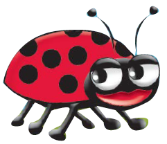 illustration of a ladybug